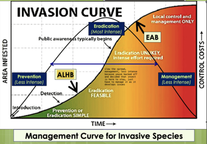 <p>-Management after eradication efforts<br><br>--&gt; If previous steps don't work and insect not eradicated, then introduce things like biological control and prevention (classical biological control, conservation biological control, inundate biocontrol)<br><br>--&gt; also ensure forest ecosystem diversity and forest resilience ; it provides long-term resilience against invasives (relative invasibility decreases with an increase in species diversity) --&gt; forest diversity so we don't repeat dutch elm disease</p>