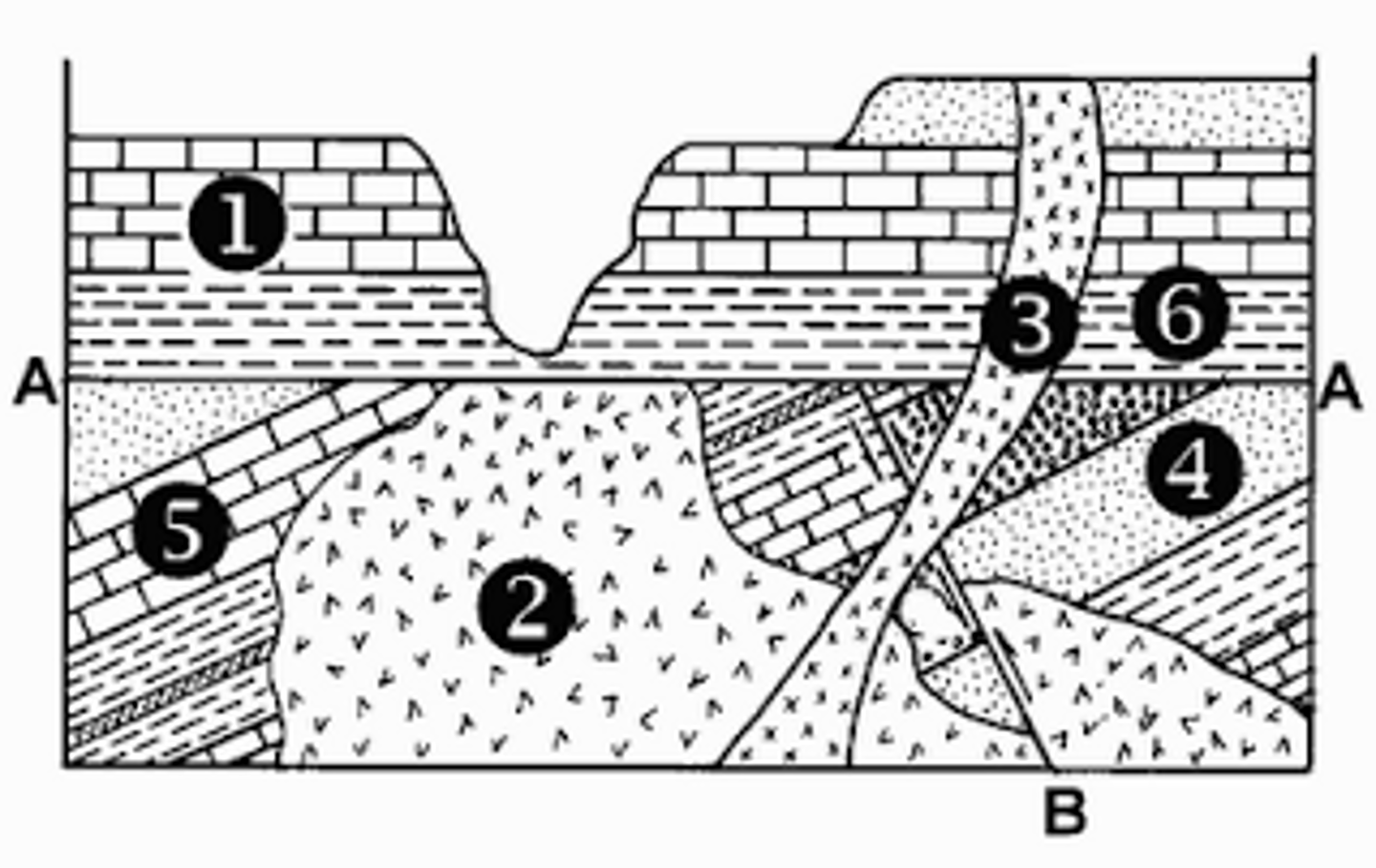 <p>Which geologic law helps to determine the relative ages of layers 1 and 5?</p><p>A.. original horizontality</p><p>B. law of superposition</p><p>C. law of cross cutting</p><p>D. law of unconformity</p>