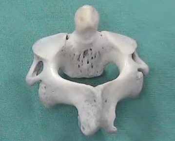 <p>What is this?</p>