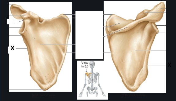<p>what does x correspond to</p>
