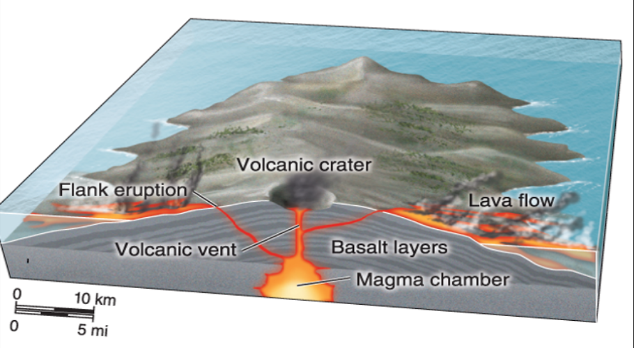 <p>Broad &amp; domed; LARGEST VOLCANOES </p><ul><li><p>Built as magma travels up from the magma chamber and through the volcanic vent</p></li></ul><p></p>