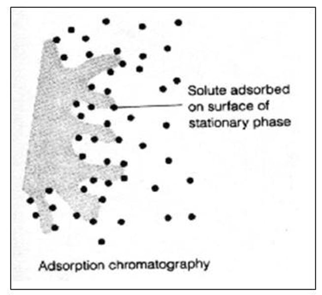 <p>The process where a substance adheres to a surface of the phase.</p>