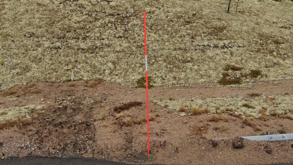 term image
