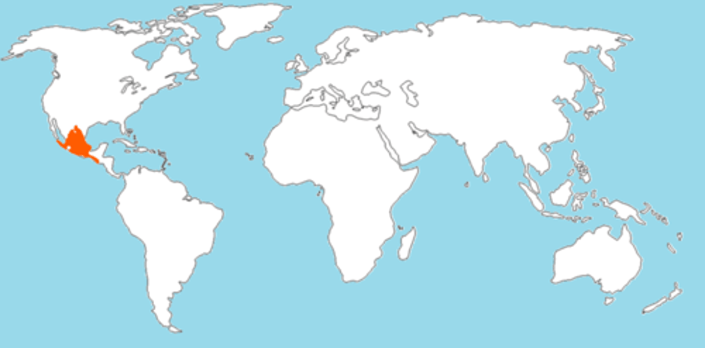 <p>Central Mexico</p>