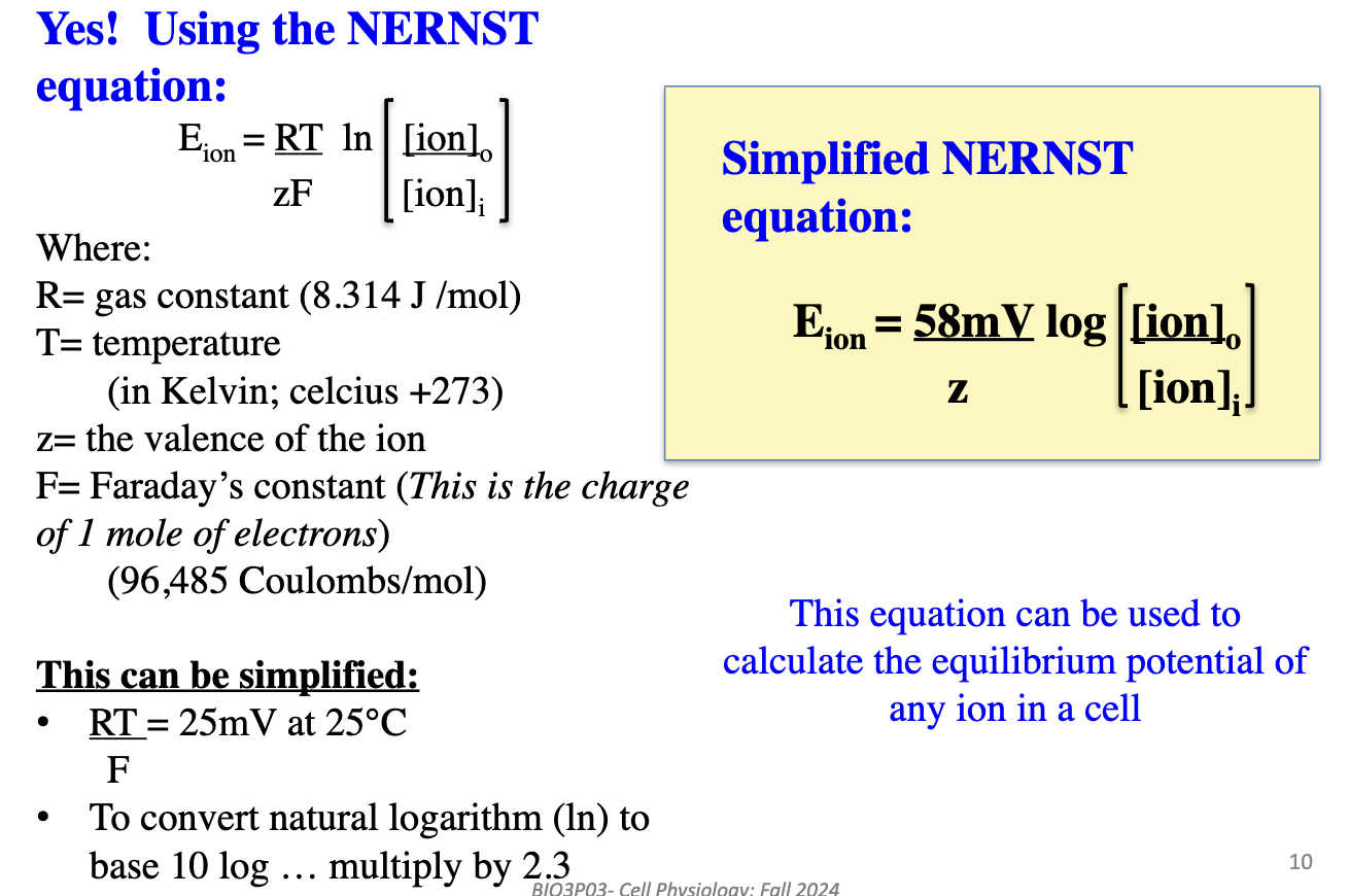 <p><strong><u>Nernst Equation</u></strong></p><p>Where:</p><ul><li><p>R = 8.314 J/(mol·K)</p></li><li><p>T = temp (Kelvin = °C + 273)</p></li><li><p>z = ion charge</p></li><li><p>F = 96,485 C/mol (charge of 1 more of electrons)</p></li></ul><p><strong><u><br>Steps:</u></strong></p><ol><li><p>Plug in [ion]o and [ion]i</p></li><li><p>Divide outside ÷ inside</p></li><li><p>Take log₁₀ of ratio</p></li><li><p>Multiply by 58 mV</p></li><li><p>Divide by valence (z)</p></li></ol><p></p>