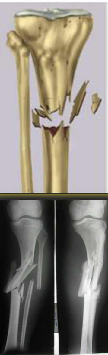 <p></p>
