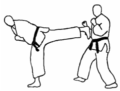 Back thrust kick