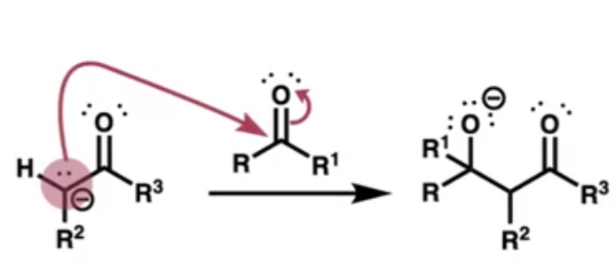 <p>a nucleophile attacking the carbonyl of the other species forming the C-C bond</p>