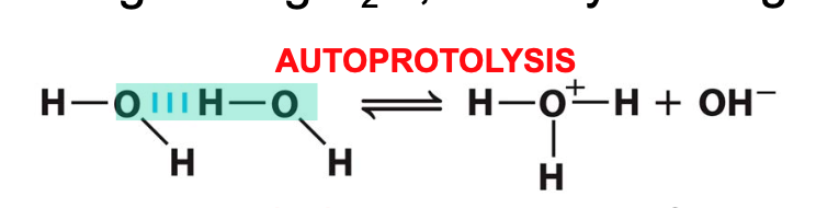 a proton is transferred between 2 identical molecules; one H2O acts as Bronsted acid (proton donor) and the other H2O molecule acts as Bronsted base (proton acceptor)