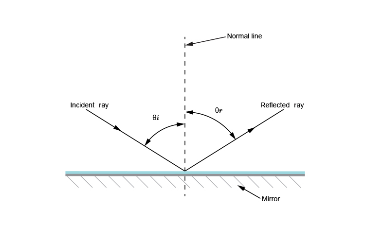 <p>light hits a surfaces and bounces off, the incident ray and second ray have the same angle</p>