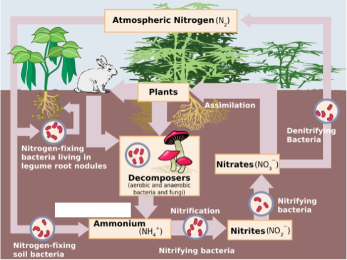 <p>What step is missing?</p>