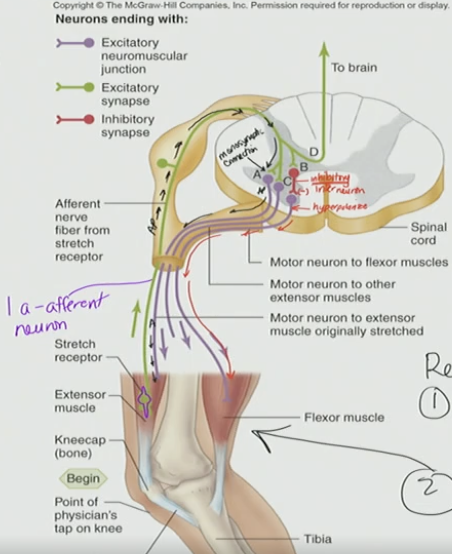 <p>What is this process called?</p>
