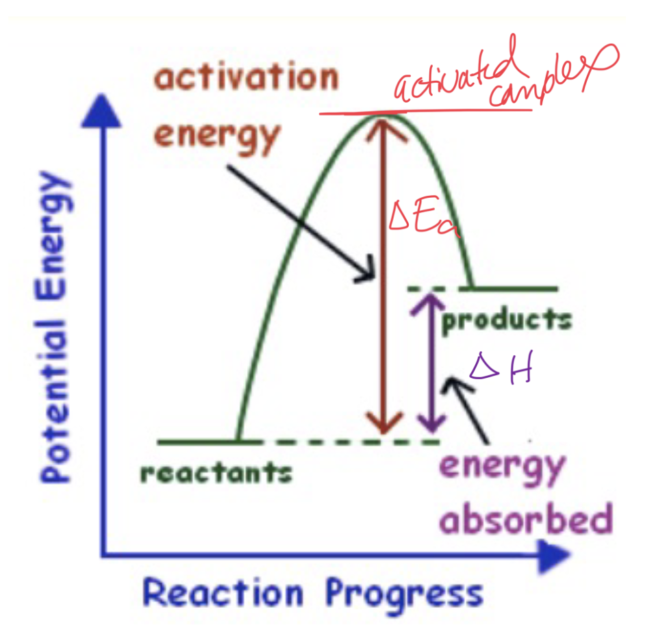 <p>What type of graph and reaction is this?</p>