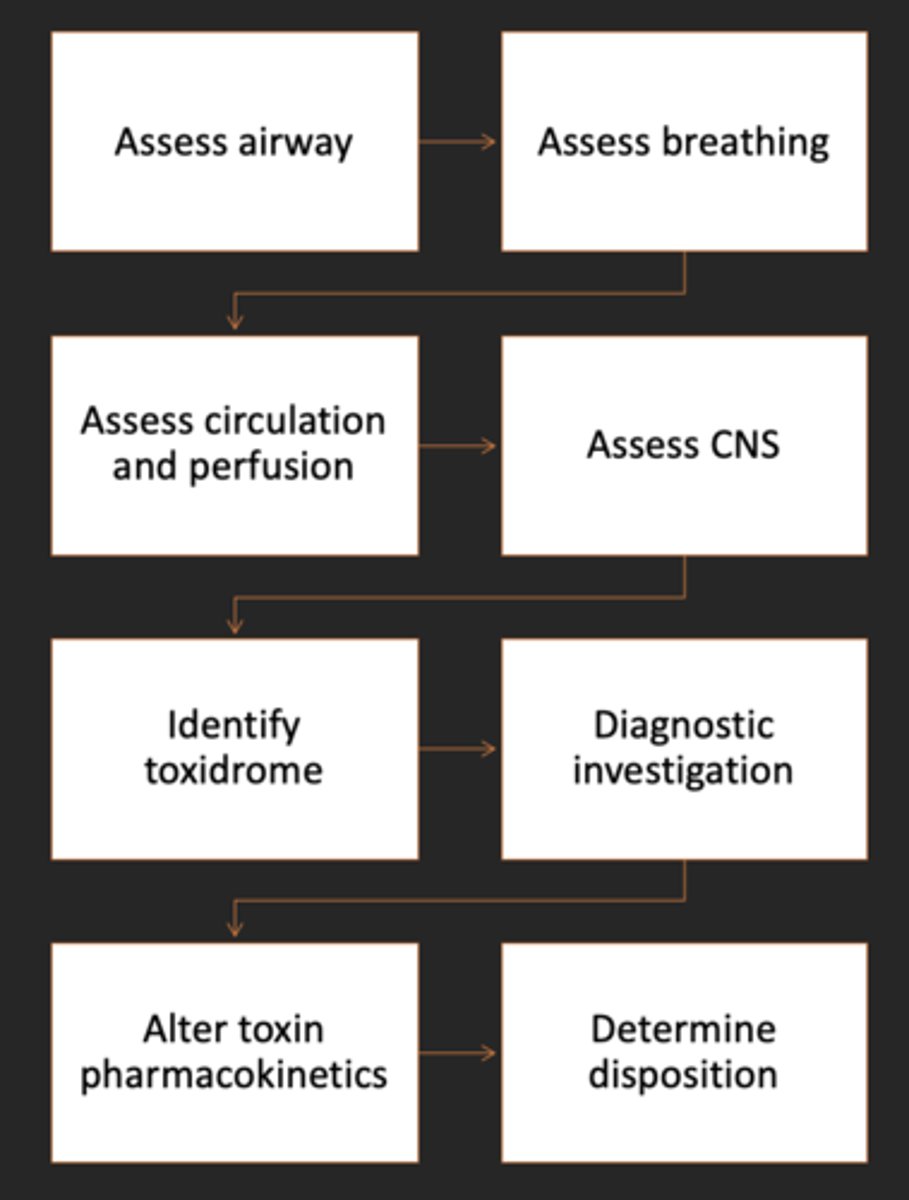 <p>1. Asses airway</p><p>2. Assess breathing</p><p>3. Assess circulation and perfusion</p><p>4. Assess CNS</p><p>5. Identify toxidrome</p><p>6. Diagnostic investigation</p><p>7. Alter toxin pharmacokinetics</p><p>8. Determine disposition</p>