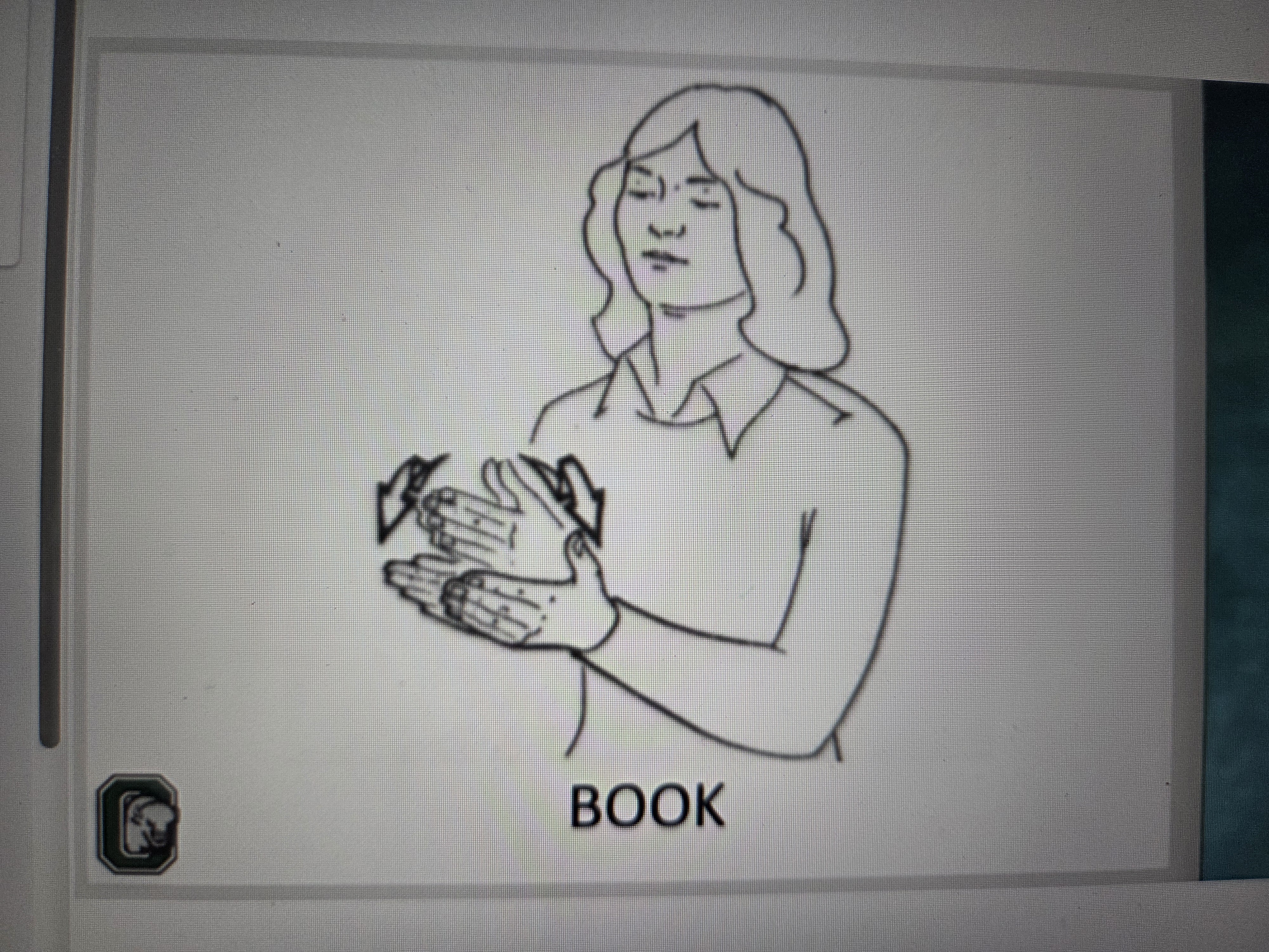 knowt flashcard image