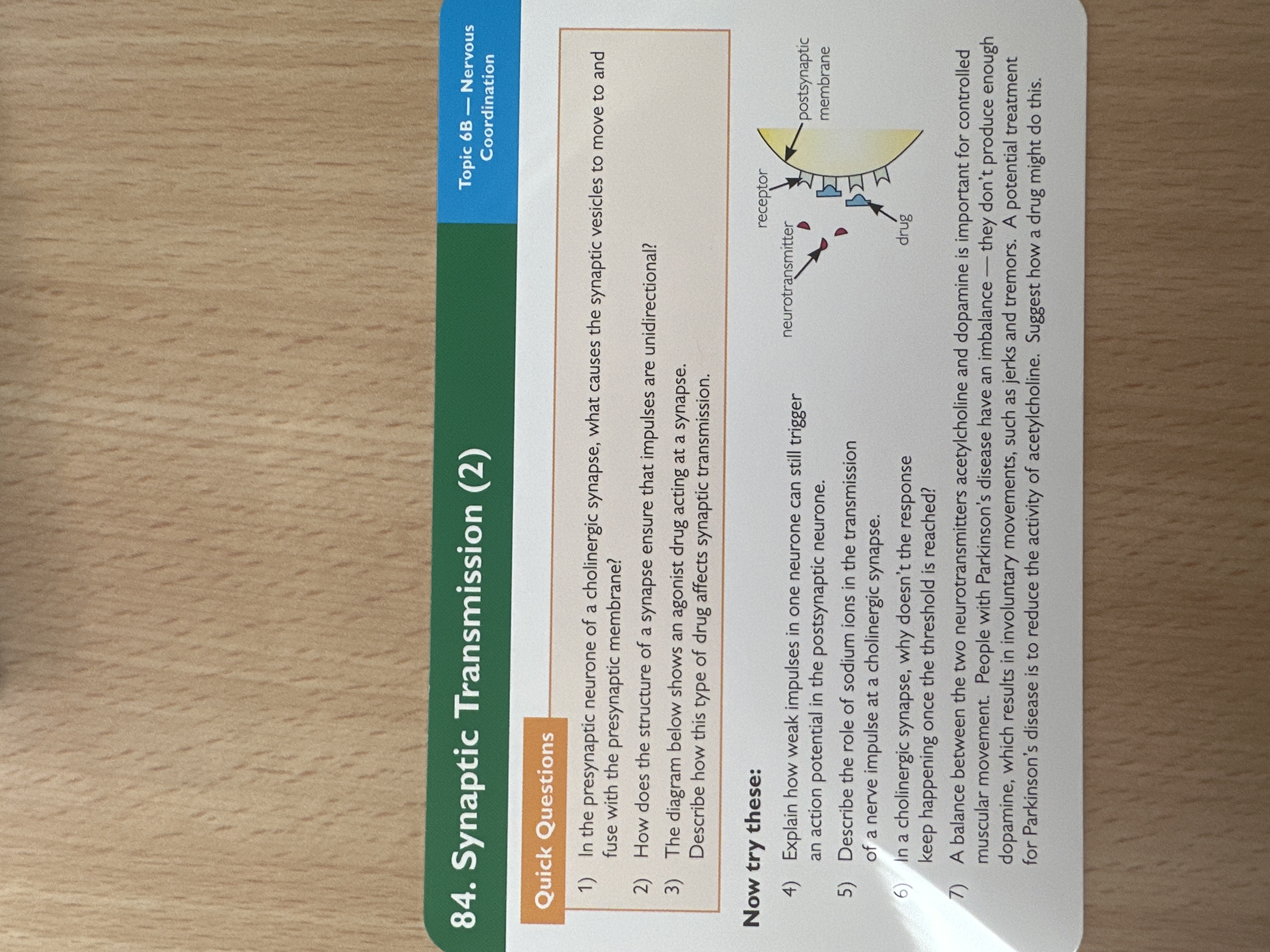 Synaptic transmission