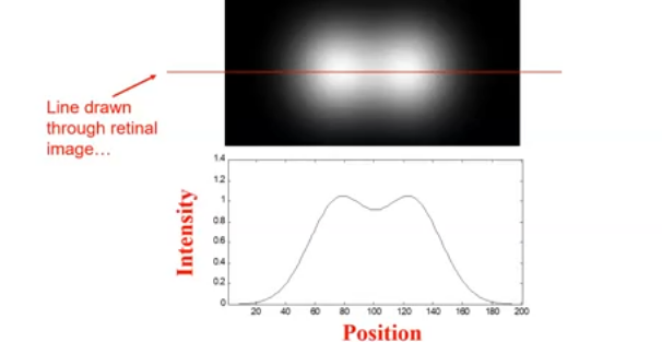 <p>describes how a single point of light is blurred by an optical system </p><p>is is the image that an optical system produces when it tries to image a perfect point source </p><p>depends on the shape and size of the pupil, on diffraction, aberrations and scatter </p><p>if the points are sufficiently close, then the PSF overlap on the retina </p>
