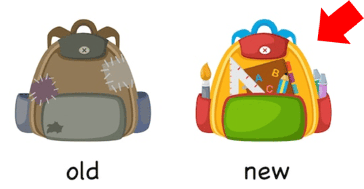 <p>ability to pick up new information</p><p>---> decrease over time</p>