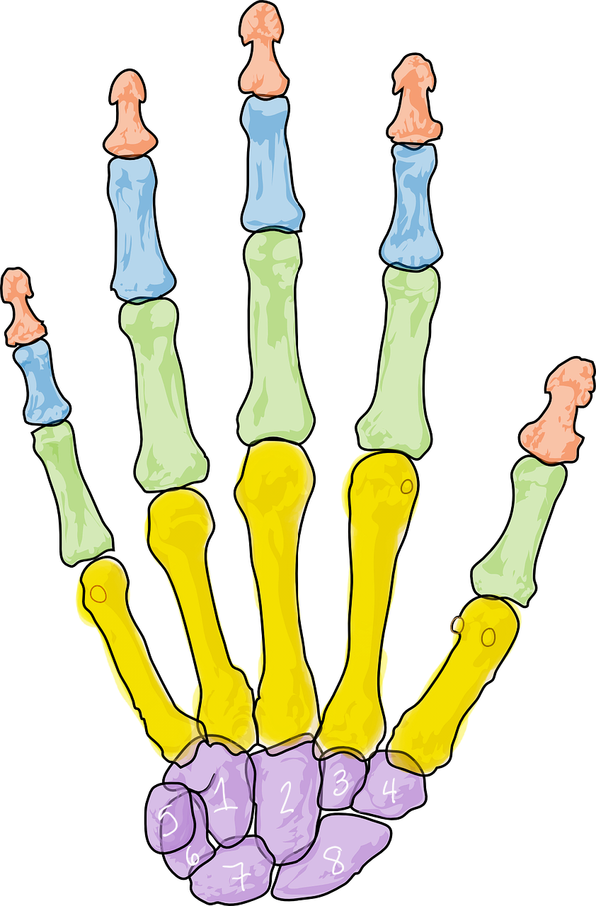 <p>Blue region</p>