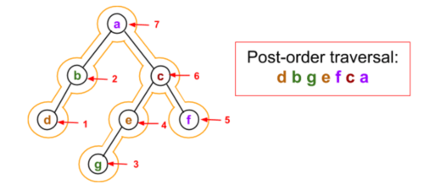 <p>The root is visited after the children.</p>