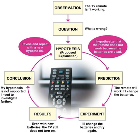 <p>The scientific method depends on hypotheses.</p>