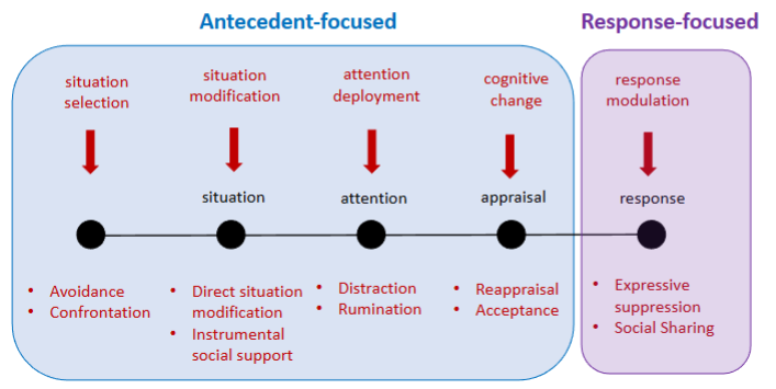 <p>Situation -&gt; attention -&gt; Appraisal -&gt; response</p>