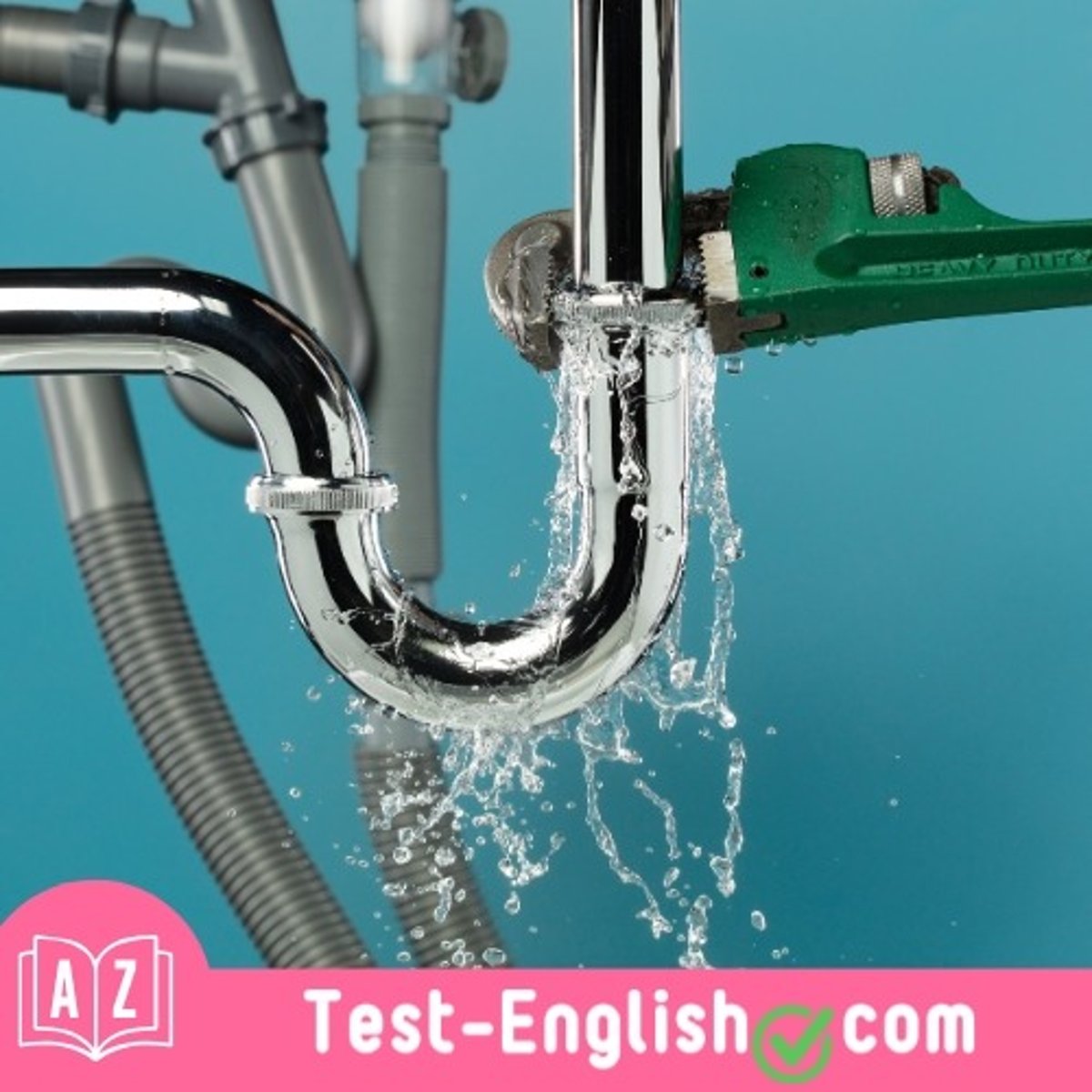 <p>There's a water _____ under the sink.</p>