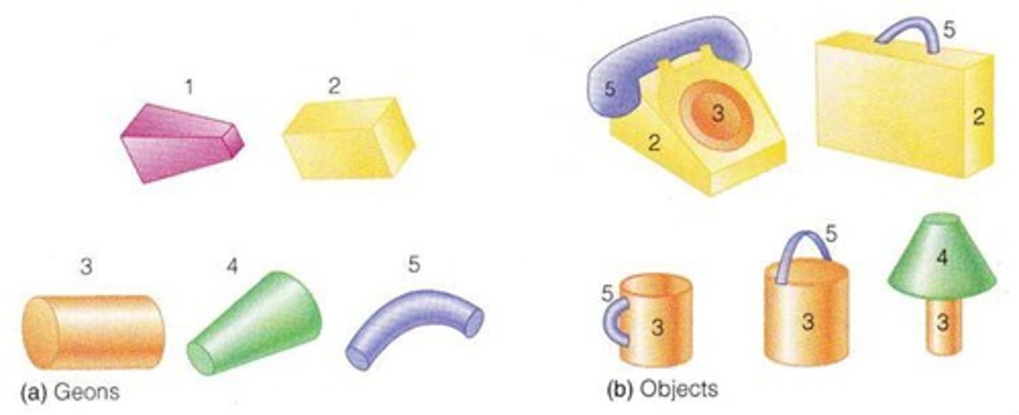 <p>volumetric features used to represent objects for recognition, things like: cylinders , rectangular solids, cones, pyramids, etc.</p><p>Different objects are represented by combining different geons. Because there are so many possible combinations, any object can be represented in terms of its component geons.</p>