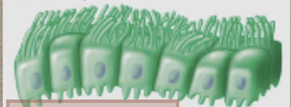 <p>What is this?</p>