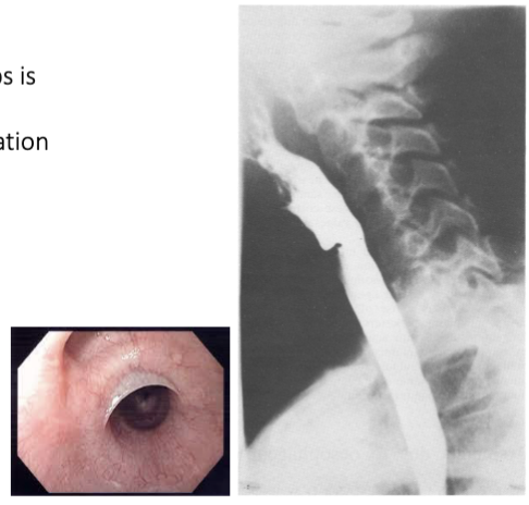 <p>What is this </p>