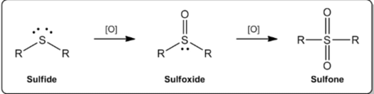 <p>- thioether (R-S-R) -> <strong><span style="text-decoration:underline">sulfoxide</span></strong> (R-S(=O)-R)</p><p>- sulfoxide (R-S(=O)-R) -> <strong><span style="text-decoration:underline">sulfone</span></strong> (R-SO2-R)</p>