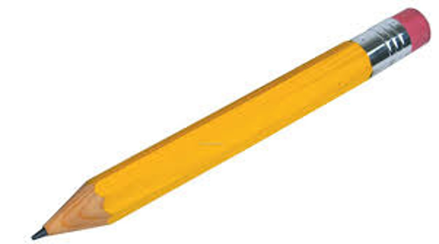 <p>pencil/pencils</p>