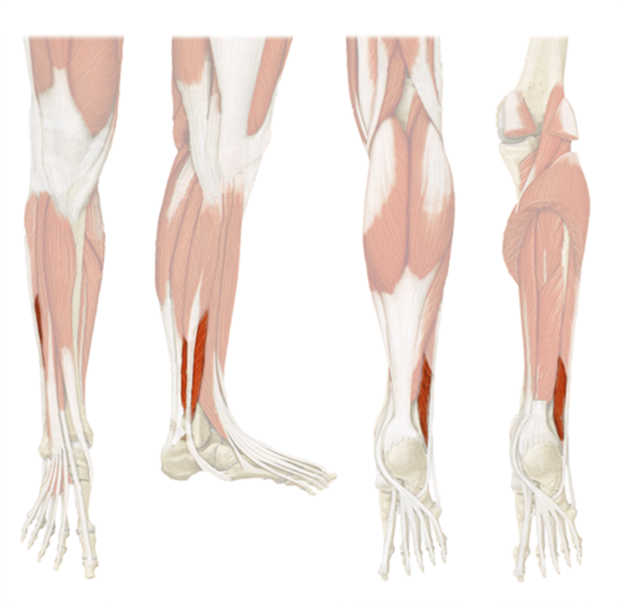 <p>36 in class</p>