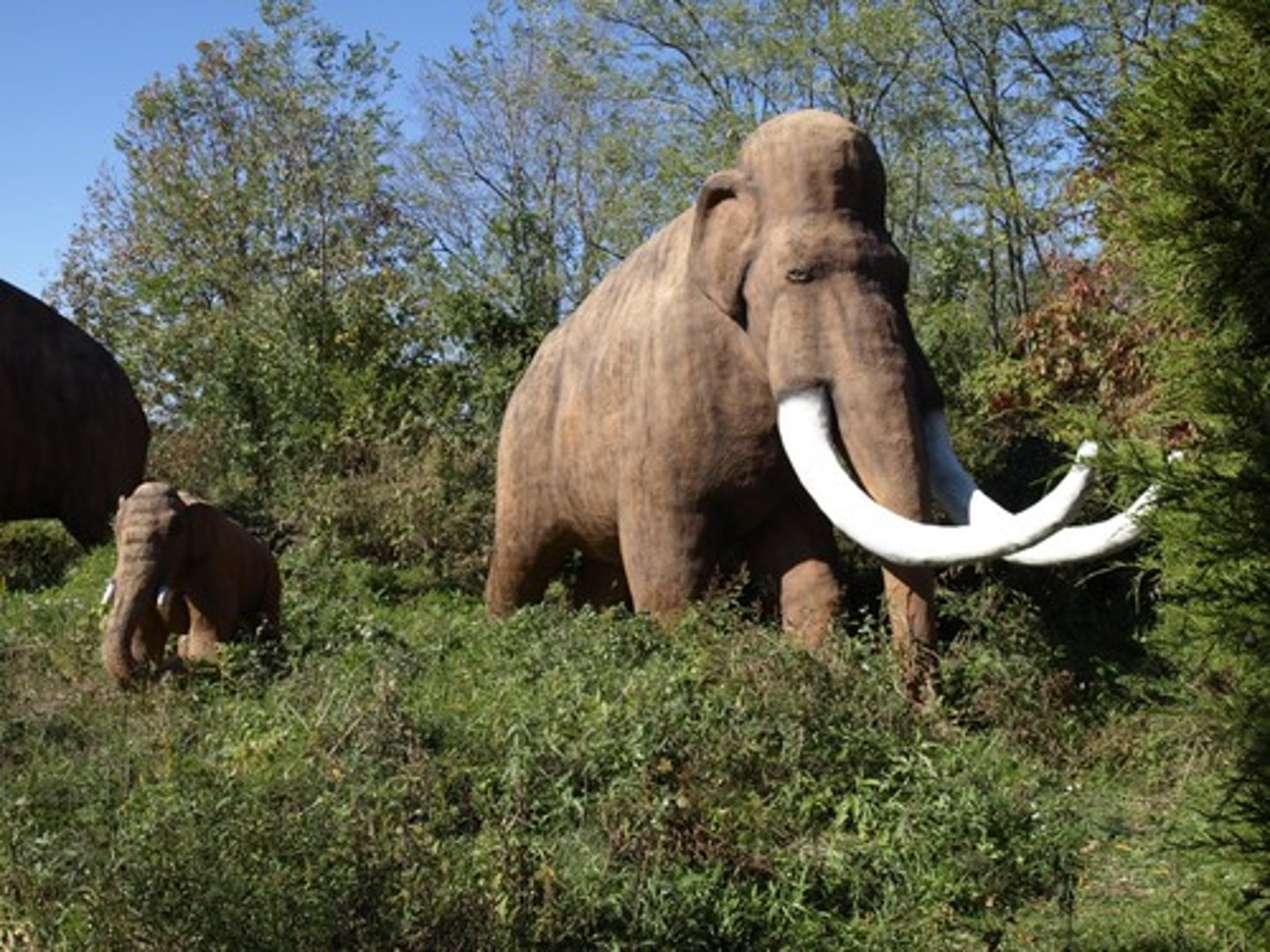 <p>Belonging to the first ages; ancient</p>