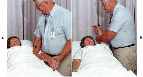 <p><span style="background-color: transparent;"><span>Lift team</span></span></p>