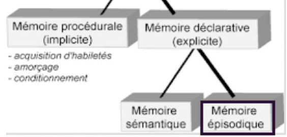 <p>→ fait partie de la mémoire déclarative </p><p>→ forme de mémoire dédiée aux souvenirs précis des événements passés </p><p>→ souvenir des faits en eux-mêmes, mais aussi leur contexte temporel (la date), spatial (le lieu) et émotionnel (les émotions ressenties lors de l’événement) </p>