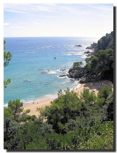 the oceanic climate