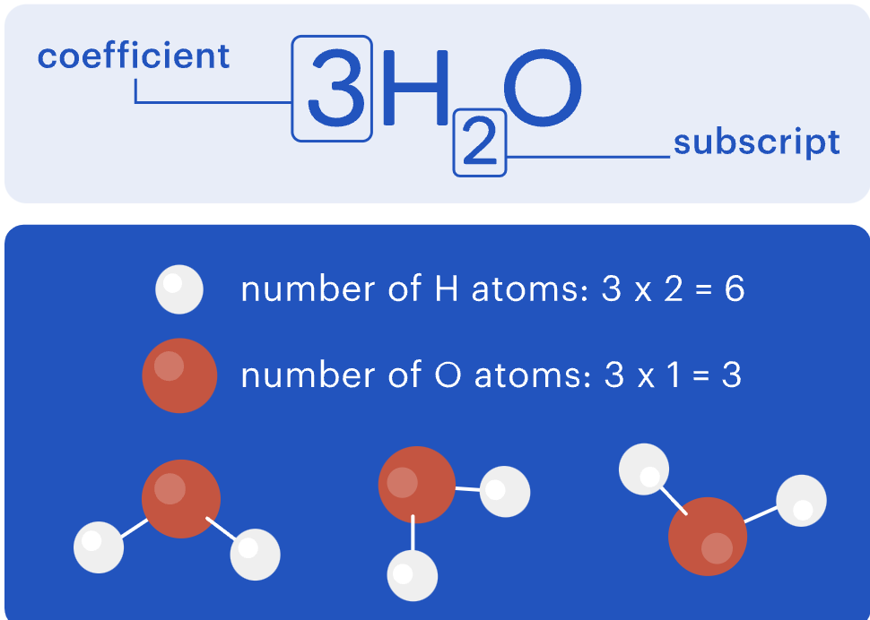 <ul><li><p>When balancing an equation, you can’t change the subscript numbers, as this shows how the molecule is naturally formed.</p></li><li><p>You can only adjust the coefficients, which change the number of elements or compounds in a chemical equation.</p></li><li><p>To find the amount of each type of atom, multiply the coefficient by the subscript</p></li></ul><p></p>