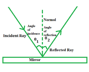 <p>angle of <strong>incidence</strong>: between normal and <u>incident</u> ray</p><p>angle of <strong>reflection</strong>: between normal and <u>reflected</u> ray</p>