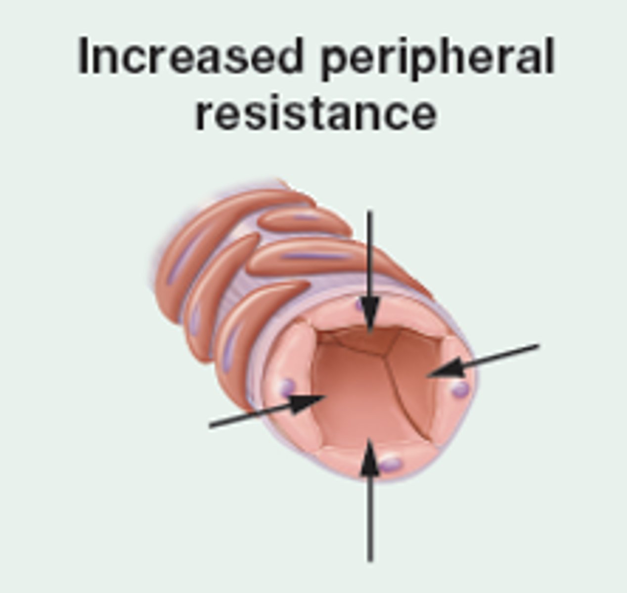 <p>ENDO; epinephrine, norepinephrine, angiotensin-II, renin secretion</p><p>NEURAL; increased sympathetic activity</p>