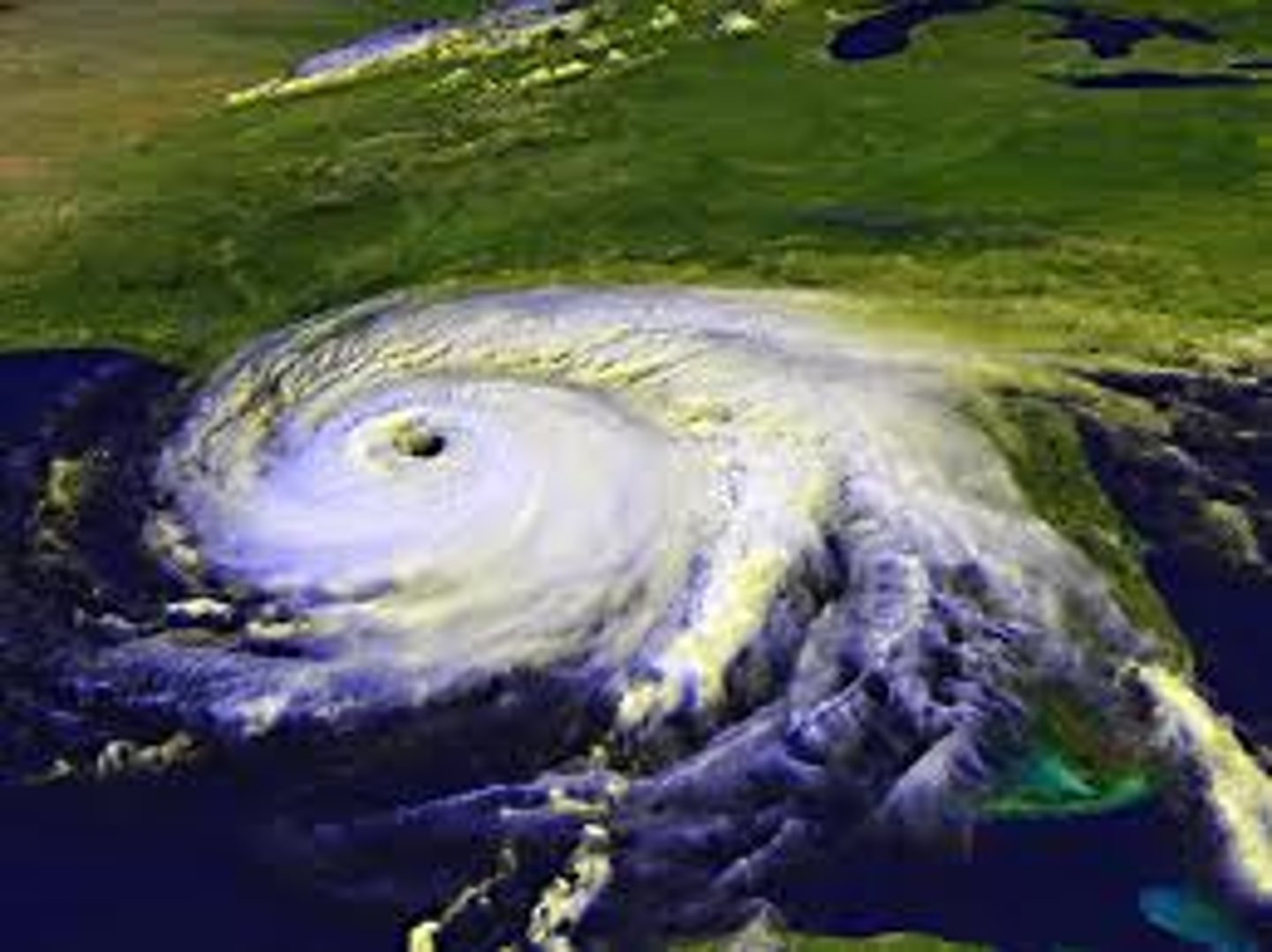 <p>hurricane</p>