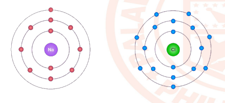 <p>Which atom is</p><p>oxidized &amp; which</p><p>atom is reduced?</p>