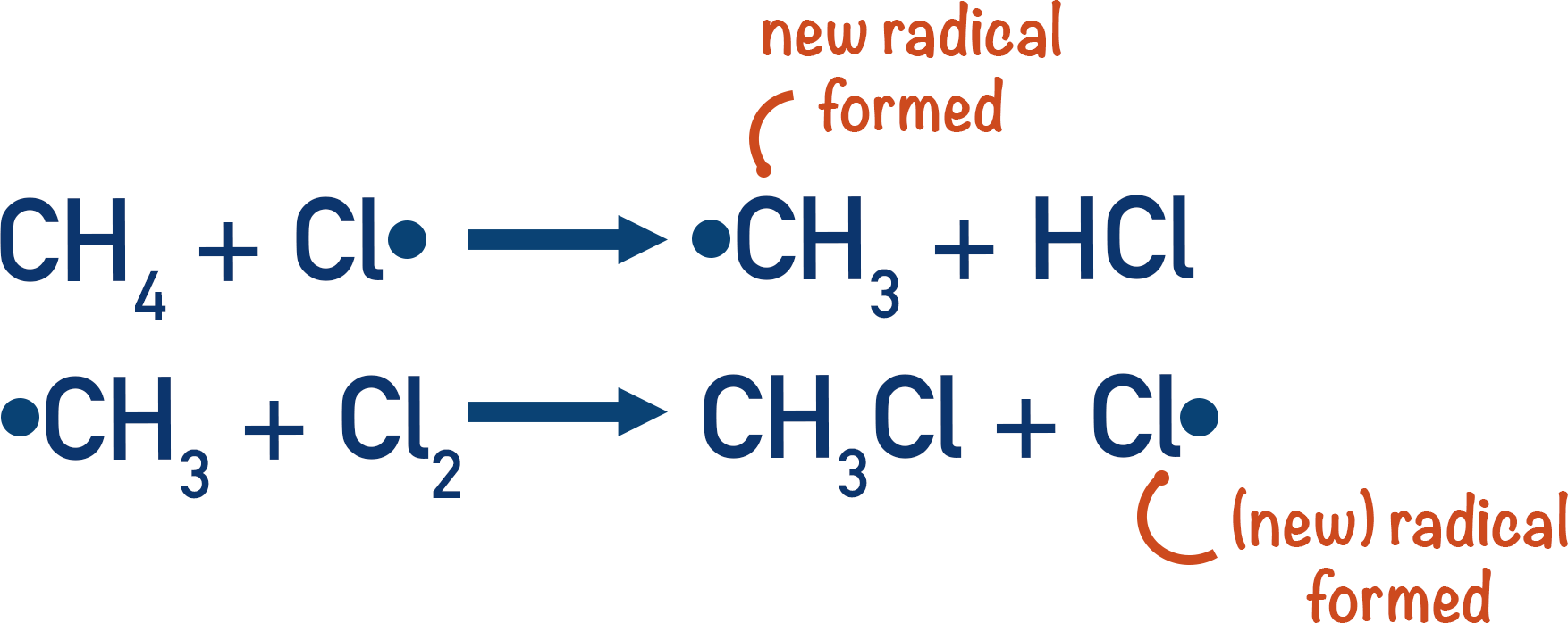 <ul><li><p>free radical reacts with the alkane to form more radicals</p></li><li><p>step 1→ halide radical reacts with alkane to form alkyl radical and hydrogen halide</p></li><li><p>step 2→ alkyl radical reactions with excess halogen to form haloalkane and halide radical</p></li><li><p>halide radical must be preserved→ same radical at start and end of propagation</p></li></ul>