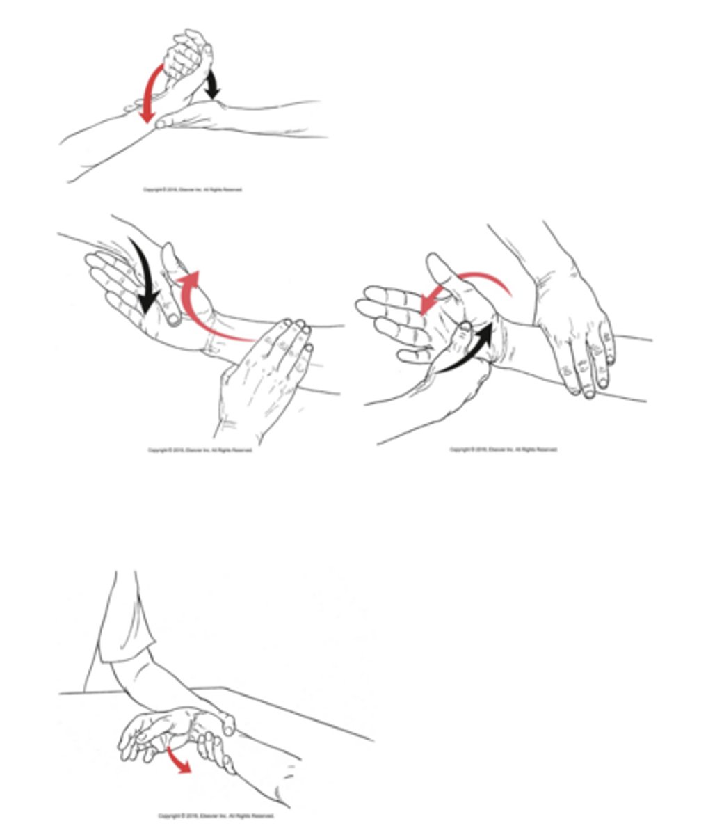 <p>What test is being performed in the image?</p>
