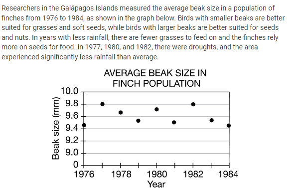 <p>Which statement is best supported by the data in the graph?</p><p><strong>A. </strong>Finches were better able to find mates, and the population size increased in 1977 because of the abundance of grasses.</p><p><strong>B. </strong>Finches with larger beaks were more likely to survive in 1980 because they were able to feed primarily on seeds and nuts during the drought.</p><p><strong>C. </strong>The average beak size in 1981 increased to <span>9.8mm</span> because finches had access to unlimited resources.</p><p><strong>D. </strong>The finch population declined from 1983 to 1984 due to a decrease in habitat.</p>