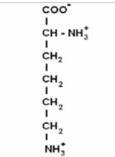<p>have a charge in their side chain indicating if it is positively charged or negatively charged</p>
