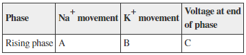 <p>Refer to the table. A student created this table as a study guide describing one of the five phases of a neuronal action potential.</p>