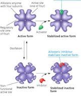 the binding of a regulatory molecule to a protein at one site that affects the function of the protein at a different site.