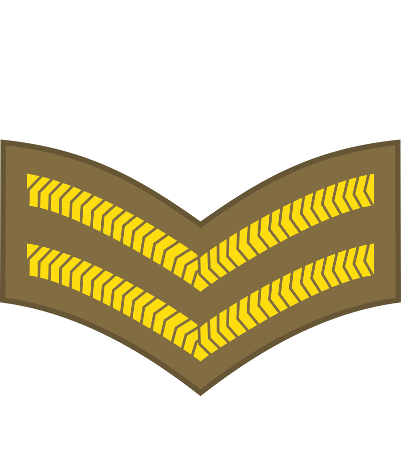 <p>What rank is this?</p>