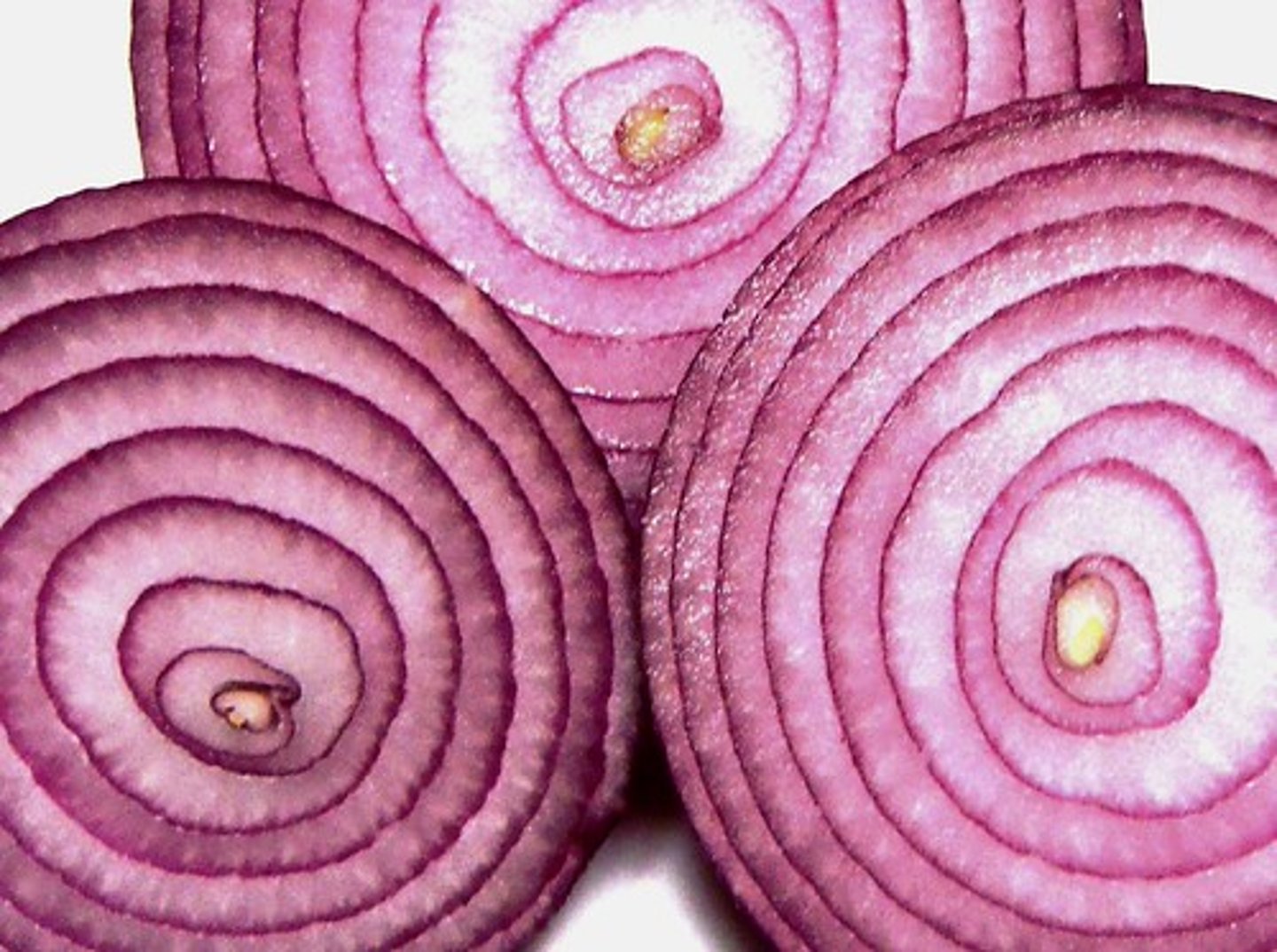 <p>onion</p>